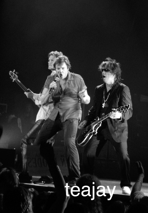 webvawildboys111cropBW